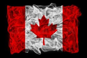 Canadian Poker Players to Collect the Largest Amounts in The Last 30 Days