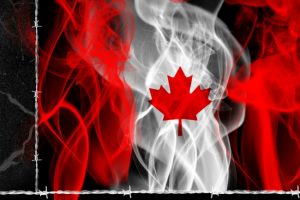 Canadian Poker Players Celebrate a Successful Start of 2018