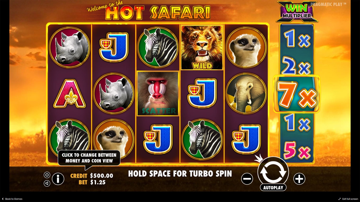hot safari screenshot