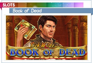 slots book of dead play n go