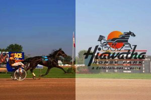 Sarnia Officials Mull Over Slots Return to Hiawatha Horse Park after 6-Year Hiatus