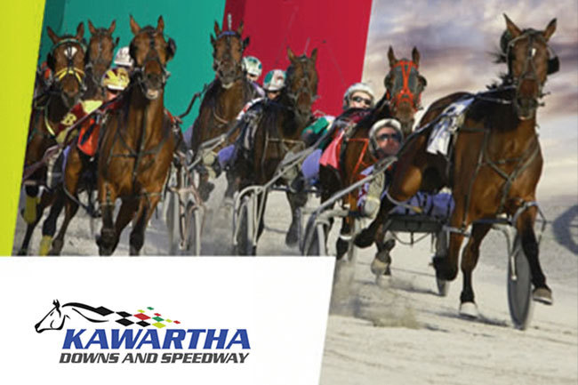 Kawartha Downs Live Racing