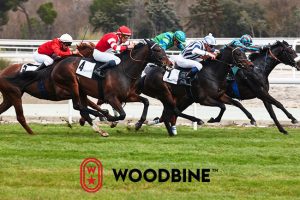 Woodbine Racetrack Celebrates Busy 2019 Season End with Grand Events