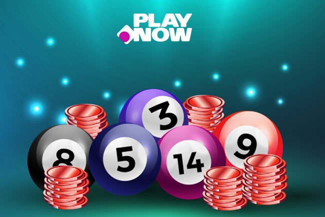 playnow Азартные игры в казино онлайн - Интернет-казино - Казино Nj Pala для начинающих