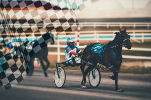 Ontario Standardbred Horse Racing Now Ready to Restart