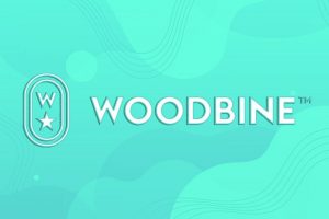 Woodbine Entertainment Seeks Local Authorities Approval