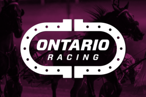 Ontario Racing Reveals Equine Benefits Details