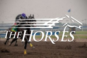 Century Mile Racetrack Allowed to Renew Racing