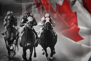 AGCO Bans Ontario Horse Trainer for 20 Years
