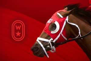 Woodbine Ent. Unveils 2023 Standardbred Stakes Calendar