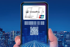 about_unionpay