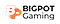Bigpot Gaming Icon