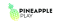 Pineapple Play Icon
